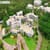 SDMIMD Mysore PGDM Admission Open for 2027; Apply Now